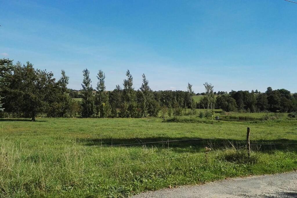Ferienwohnung In Mittelsaida Großhartmannsdorf Kültér fotó